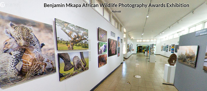 Mkapa Awards photo exhibit at Four Arts showcases wildlife of Africa