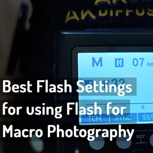 Live Talk Makrofotografie mit OM System wildmacro extreme macro