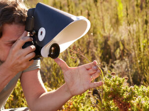 How to get sharper macro photos with focus stacking - wildmacro ...