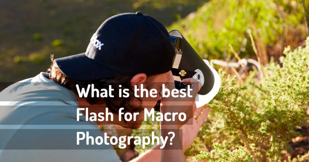 Blog wildmacro extreme macro photography